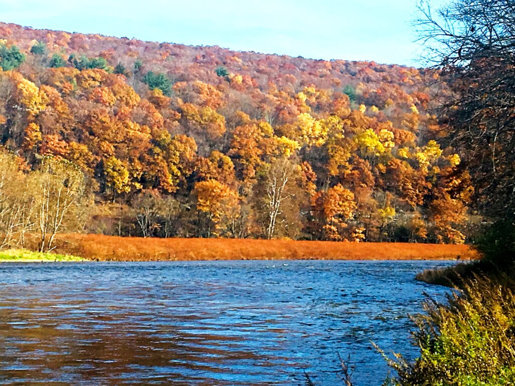 Delaware Kayaking Locations Kayaking Places