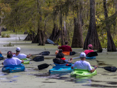 Louisiana Kayaking Spots
