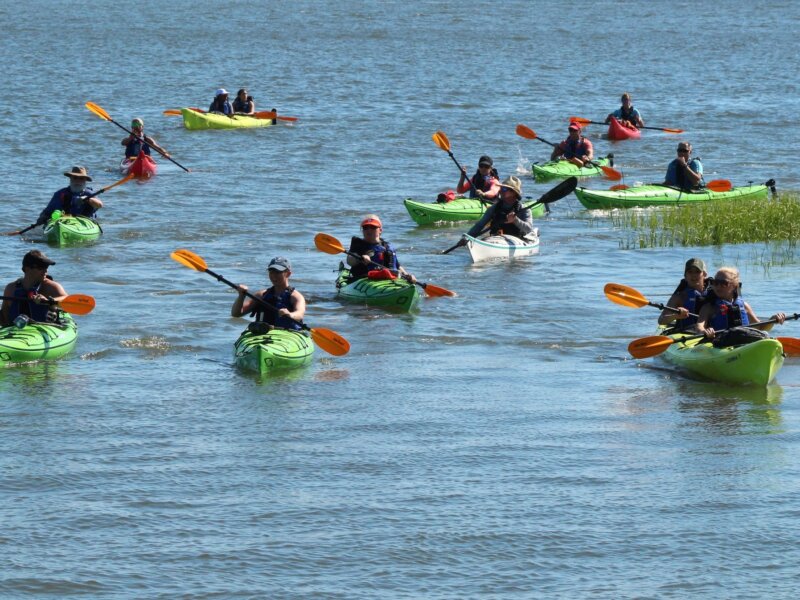 South Carolina Kayaking Spots